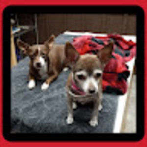 Meet your Posher, Carla